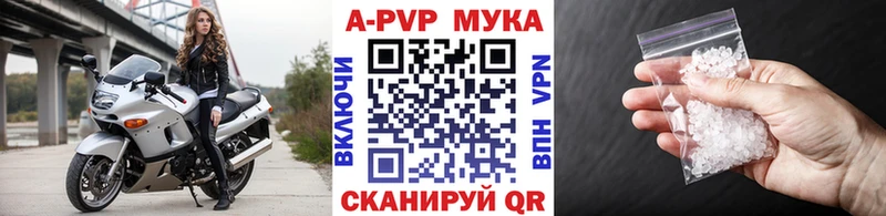 A PVP СК КРИС  Севастополь 