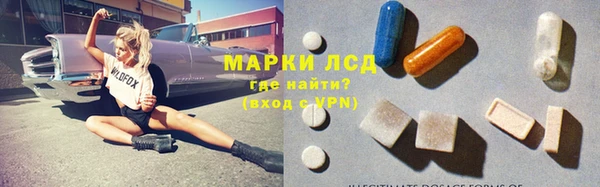 ECSTASY Инсар