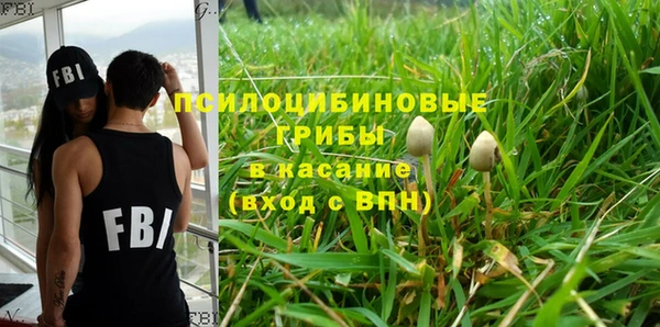 мяу мяу кристалл Медногорск