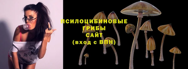 ECSTASY Инсар