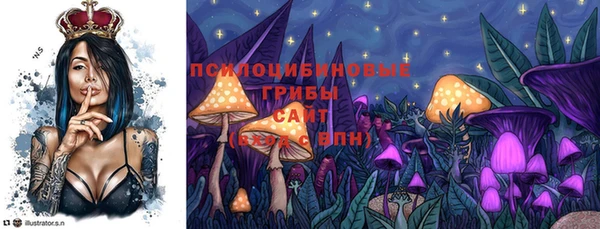 ECSTASY Инсар