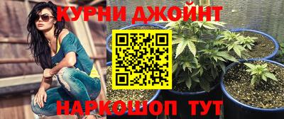 трава Ставрополь