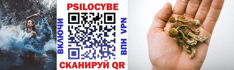 Псилоцибиновые грибы ЛСД Севастополь