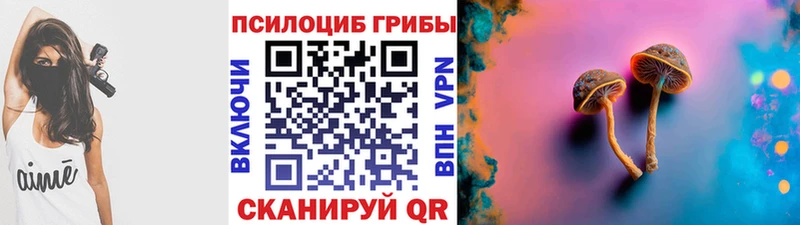 Псилоцибиновые грибы Psilocybe  Севастополь 